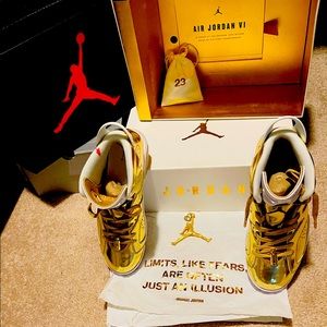 Jordan Air 6 pinnacle